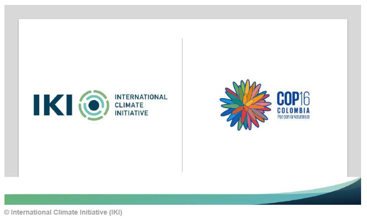 IKI at the CBD COP16