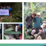 Slide11