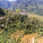 A_IDN_40305-©-Eka-B.-Panuntun-01