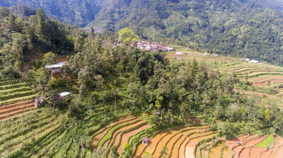 A_IDN_40305-©-Eka-B.-Panuntun-01