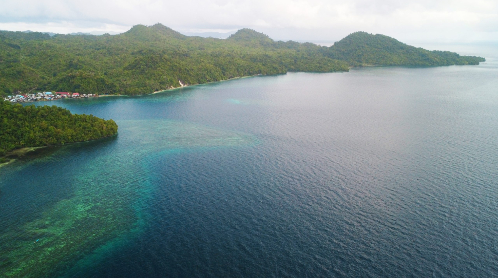 Banggai Kepulauan Landscape (Burung Indonesia_Made Chandra)